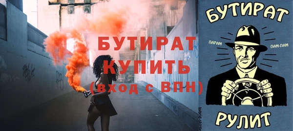 индика Вяземский